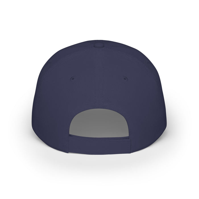 Omni Hearing Baseball Cap