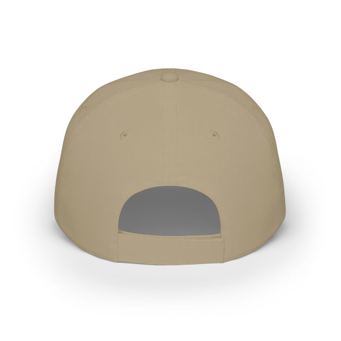 Omni Hearing Baseball Cap