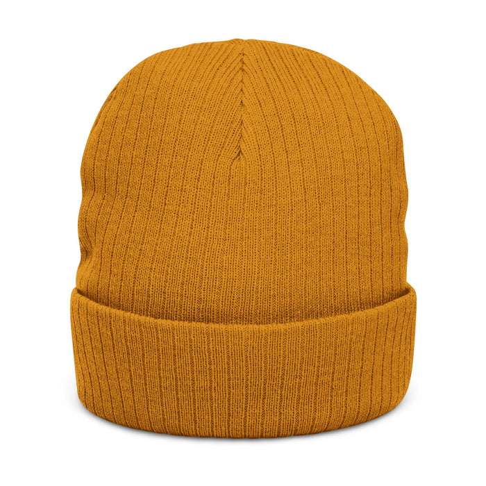 Omni Hearing Winter Beanie