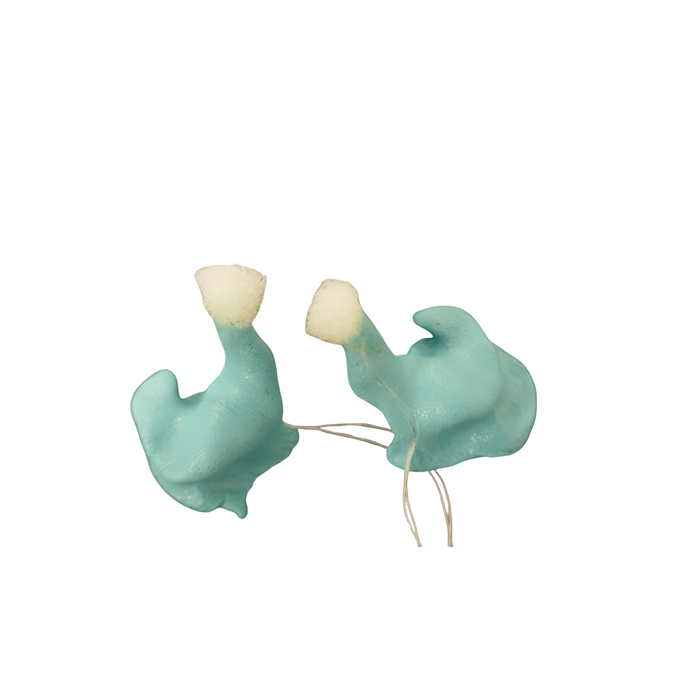 ACS PRO 10 Custom Earplugs